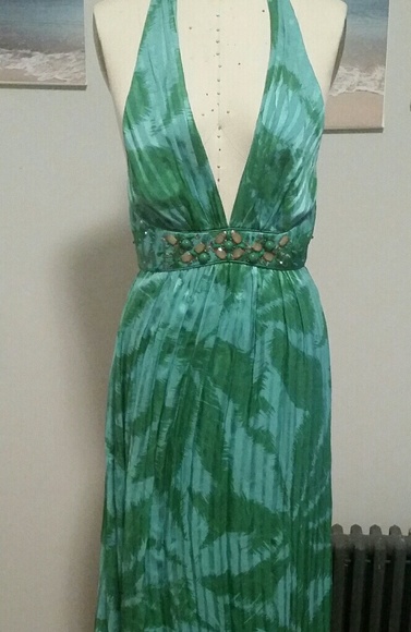 BCBGMaxAzria Dresses & Skirts - BCBG Max Azria Aqua/Green Tropic Maxi Dress sz 2